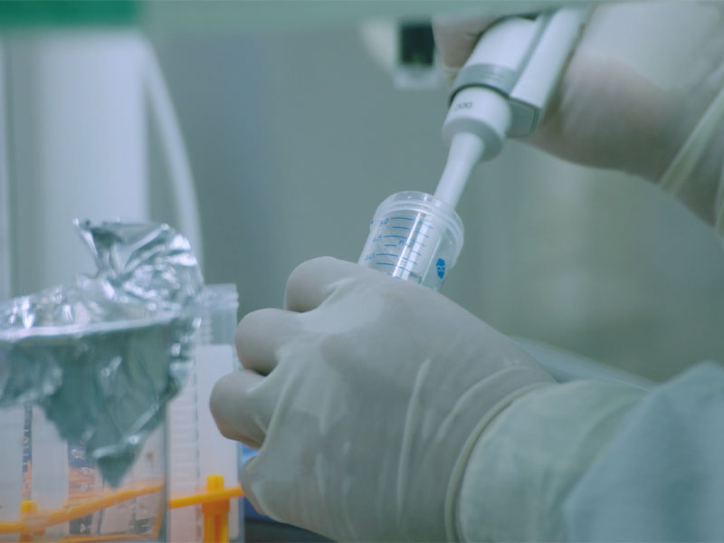 A Mrna Rsv vakcina humorális és sejtes immunitása lényegesen magasabb volt, mint az Egyesült Államokban klinikai vizsgálatra kérelmezett nemzetközileg forgalmazott termékeké.