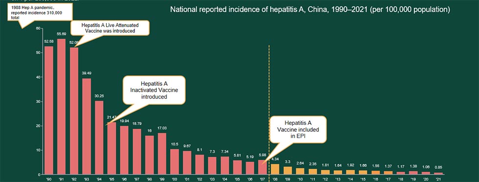 Adult hepatitis A vaccine