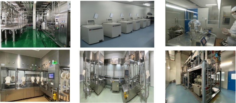 Meningococcal Vaccine